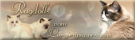 Ragdolls aus Baden-W�rttemberg