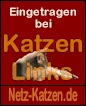Netz-Katzen